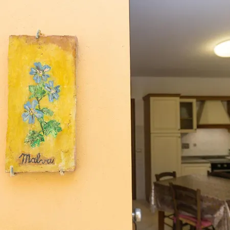 Il Girasole - Malva